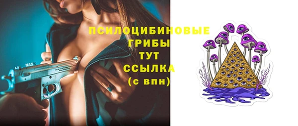 гидра Белокуриха