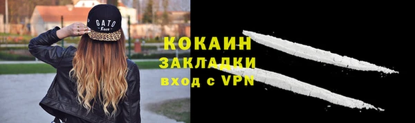 гидра Белокуриха