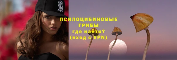эйфоретик Бородино
