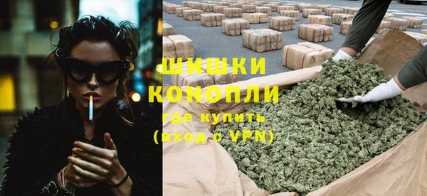 гидра Белокуриха